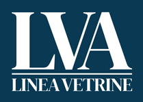 logoWHITE